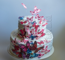 кремовый торт "Бабочки"